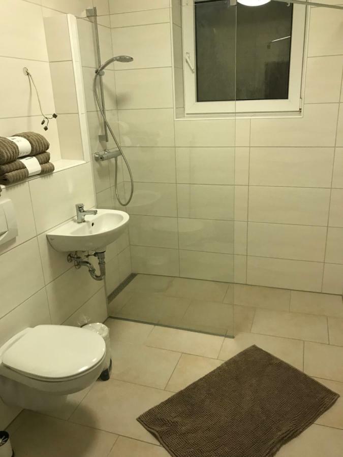 Ferienwohnung Meisenweg Bad Soden-Salmünster المظهر الخارجي الصورة